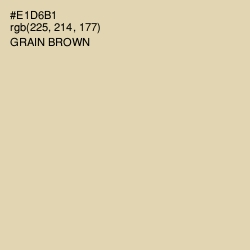 #E1D6B1 - Grain Brown Color Image